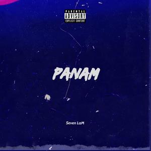 PANAM (Explicit)