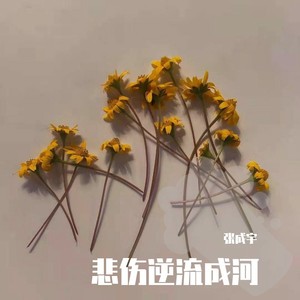 张成宇 - 悲伤逆流成河