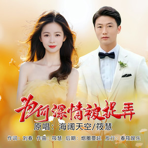 为何深情被捉弄 (伴奏)