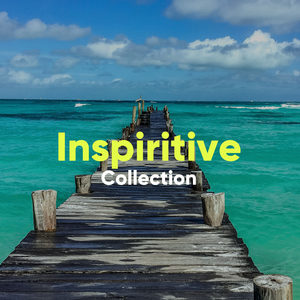 Inspiritive Collection