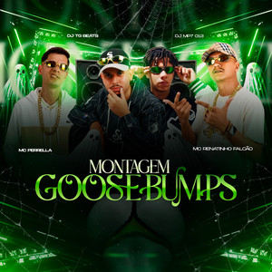 MONTAGEM GOOSEBUMPS (Explicit)