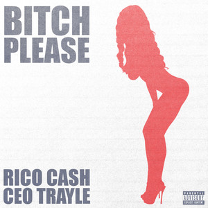 ***** Please (Explicit)