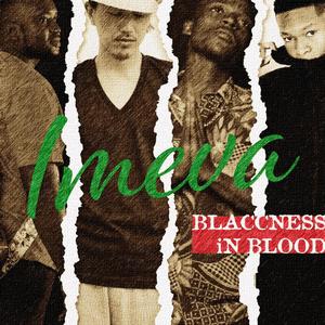 Imeva (feat. Nhlanhla The Guitarist)