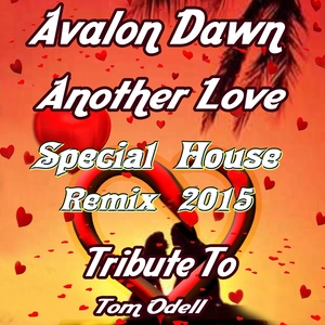 Another Love (Special House Remix 2015 Tribute to Tom Odell)