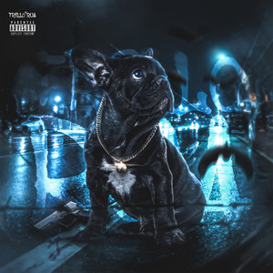 Diploma (Explicit)