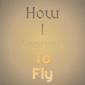 How I Learned to Fly