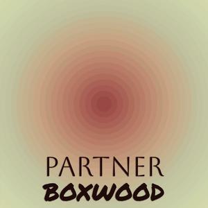 Partner Boxwood