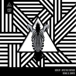 Into the Further (Original Mix)