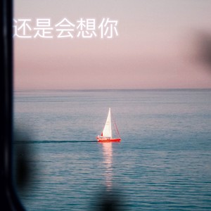还是会想你 (伴奏)封面