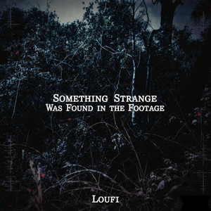 Something Strange Was Found in the Footage