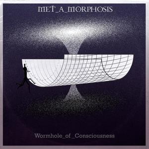 Wormhole of Consciousness