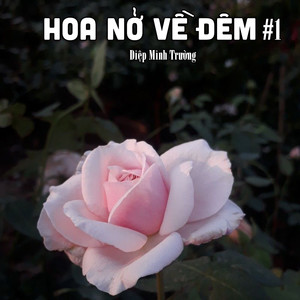 Thuyền Hoa #1