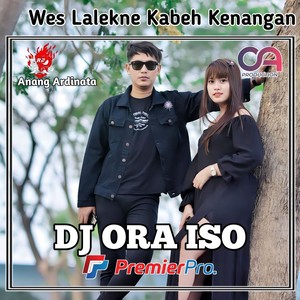 Dj Wes Lalekne Kabeh Kenangan Ora Iso - Ins