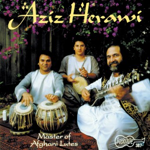 Master Of Afghani Lutes