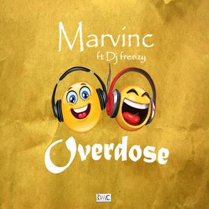 Overdose (feat. Dj Frenzy)