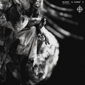 PATCHWORK SPIDERS (Explicit)