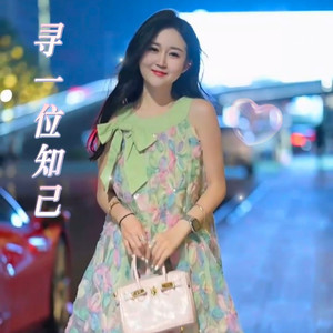 寻一位知己 (男声欢快版)