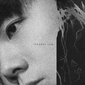 抛物线 (音乐永续作品)