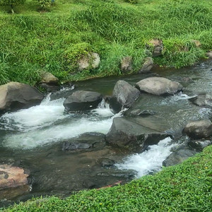 Whispers of the Mountain