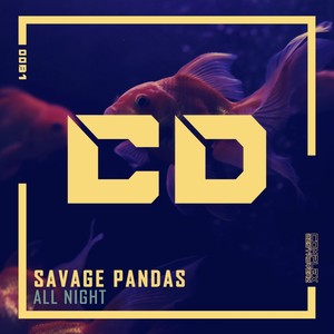 All Night (Original Mix)