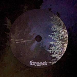 Shadows (feat. Baby Winbreaker) (Explicit)