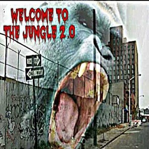 Welcome to the Jungle 2.0