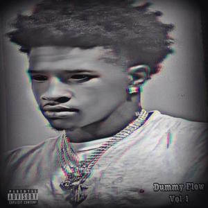 Dummy Flow, Vol. 1 (Explicit)