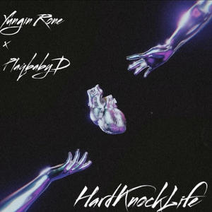 Hard Knock Life (Explicit)