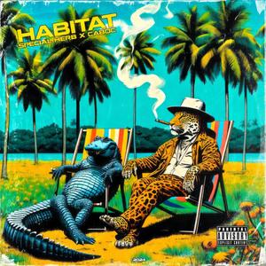 Habitat (Explicit)