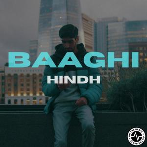 Baaghi