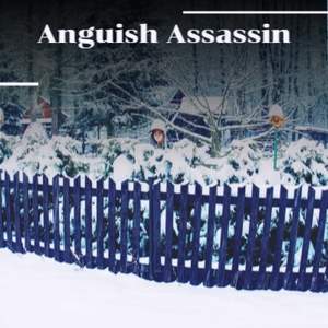 Anguish Assassin