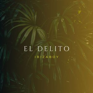 El delito
