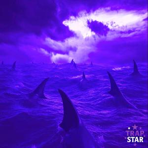 Trap (feat. JugoDidIt! & CHARLESGOTCASH) ((Shark Remix)) (Explicit)
