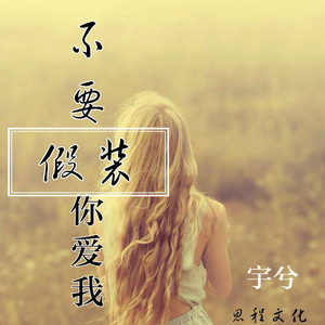 不要假装你爱我