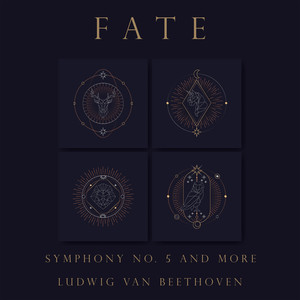 Berliner Philharmoniker - Beethoven: Symphony No. 5 in C Minor, Op. 67 - IV. Allegro (Live)