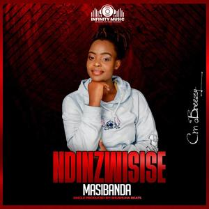 Ndinzwisisewo (feat. CM Breezy (Masivanda))