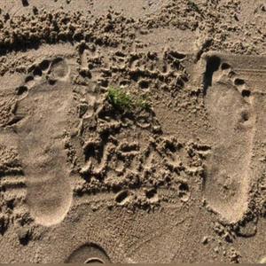 Chromosomist Lecture (Explicit)