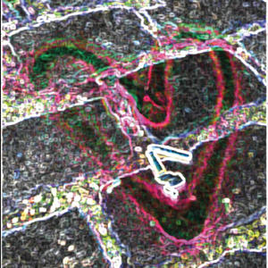 broken glass (feat. Dashcam*Devi) (Explicit)