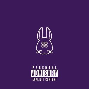 SPEED LEARNING (Explicit)