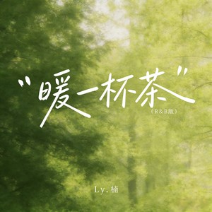 暖一杯茶 (R&B版)封面