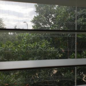 Constant Heartache (feat. Sedative Beauty) (Explicit)