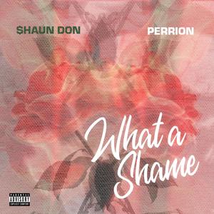 What A Shame (feat. PERRION) [Explicit]