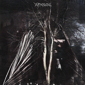 THE INSUFFERABLE PLEASURE OF BEING