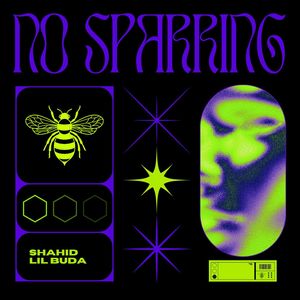 No Sparring (Explicit)