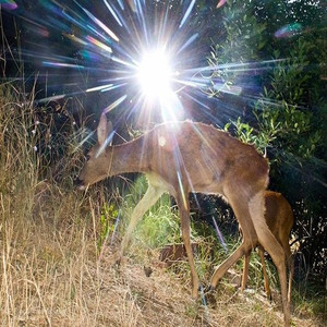 BELIEVERSSS (Explicit)