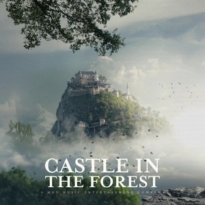 Castle In The Forest