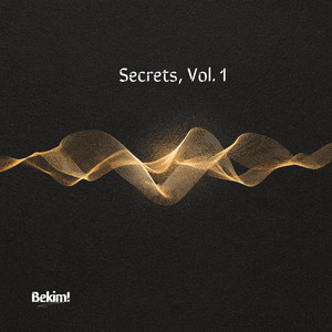 Secrets, Vol. 1