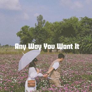 Any Way You Want It