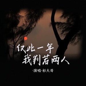 仅此一年我判若两人