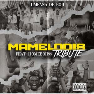 Mamelodis Tribute(feat. Homeboii99)